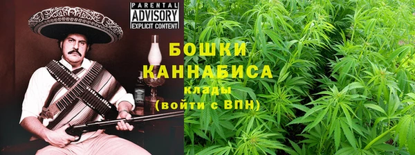 гидра Магас