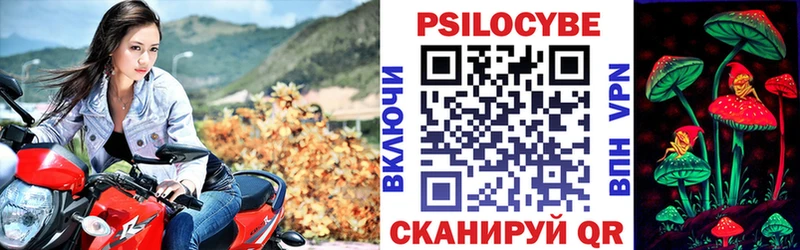 Псилоцибиновые грибы мицелий  Тобольск 
