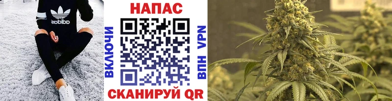 закладка  Тобольск  Канабис семена 